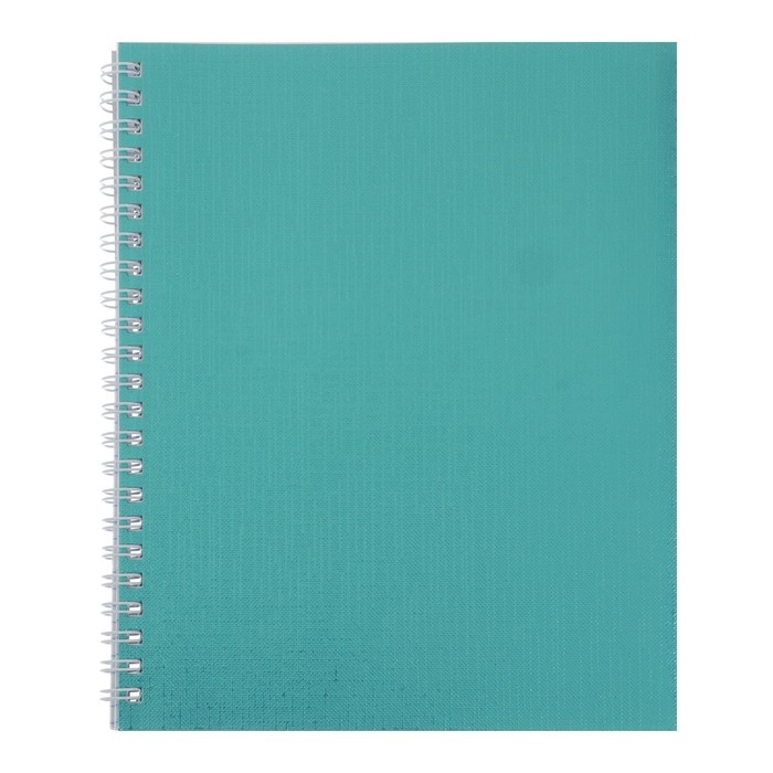 Тетрадь 96 листов в клетку на гребне Тетрадь 96 листов в клетку на гребне "Мята. METALLIC", обложка бумвинил, блок офсет