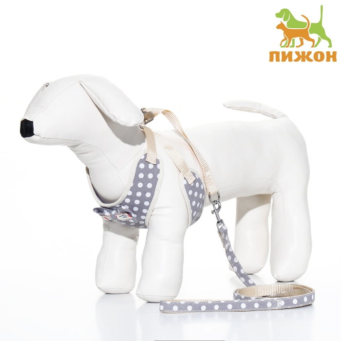 Комплект с мягкой шлейкой Комплект с мягкой шлейкой "Горох", размер М, поводок 120 х 1,5 см, ОГ 34-66 см, серый