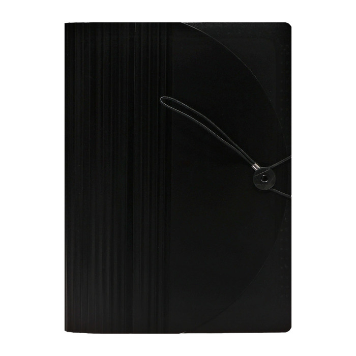 Папка на резинке А4, 24 отделения (разноцветные), чёрная