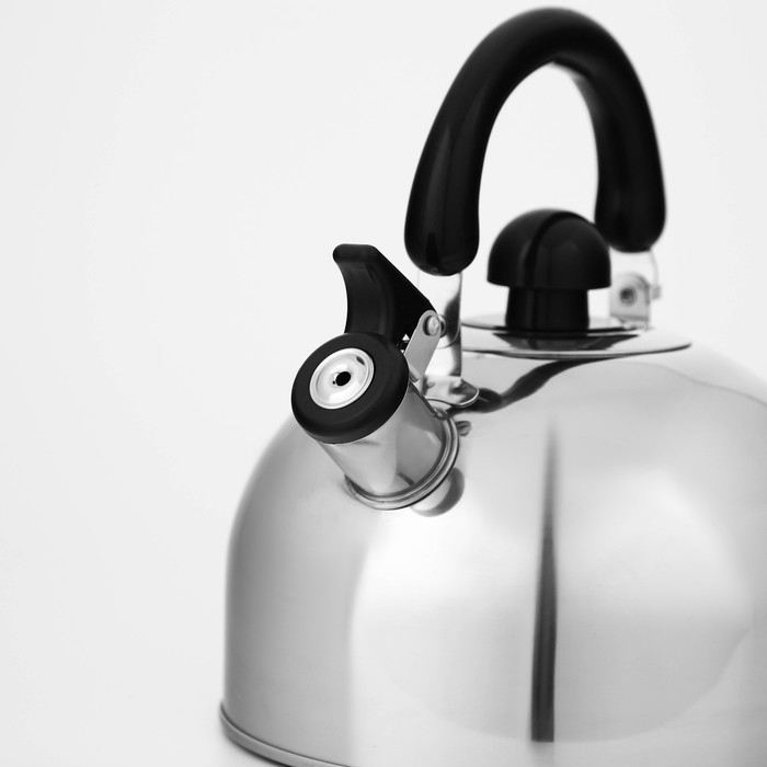 Чайник со свистком из нержавеющей стали Доляна «Чёрная ночь», 3 л, фиксированная ручка, цвет хромированный Чайник со свистком из нержавеющей стали Доляна «Чёрная ночь», 3 л, фиксированная ручка, цвет хромированный