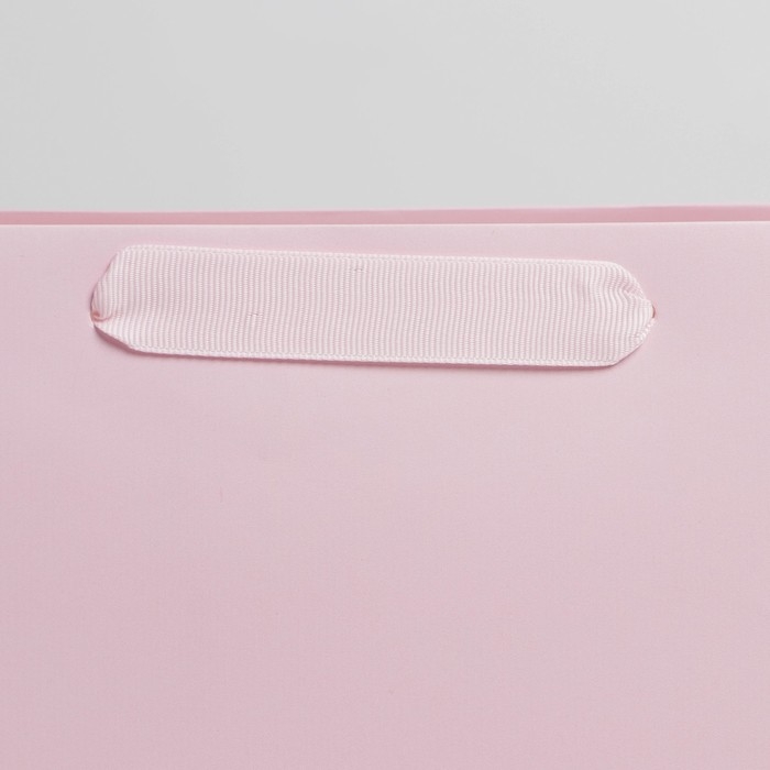 Пакет подарочный ламинированный, упаковка, &laquo;Розовый&raquo;, MS 18 х 23 х 10 см