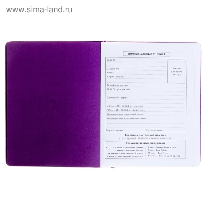 Дневник, универсальный, для 1-11 классов, «Монстрик в наушниках», искусственная кожа, поролоновая подкладка, 3D аппликация, 48 листов Дневник, универсальный, для 1-11 классов, «Монстрик в наушниках», искусственная кожа, поролоновая подкладка, 3D аппликация, 48 листов