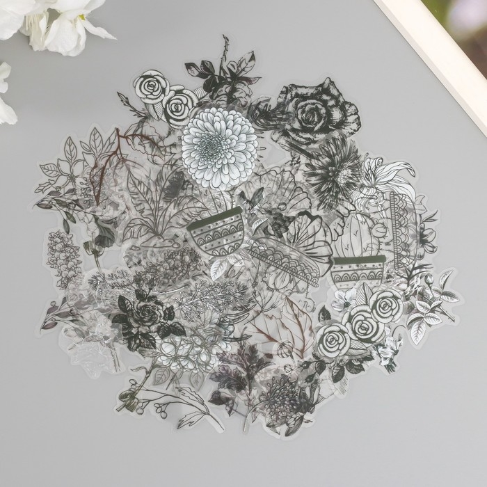 Наклейки для творчества пластик PVC Наклейки для творчества пластик PVC "Эскизы растений" набор 60 шт 10х14 см