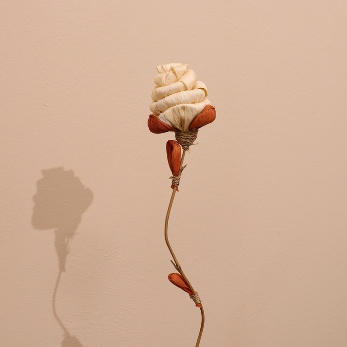 Сухоцвет на бамбуковом стебле 150 см белый Сухоцвет на бамбуковом стебле 150 см белый