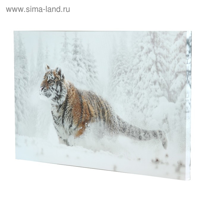 Картина на холсте Картина на холсте "Тигр в снегу" 60*100 см
