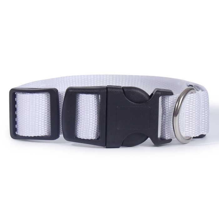 Ошейник с подсветкой Двойная полоса размер S, ОШ 35-43 х 2,5 см, 3 режима свечения белый Ошейник с подсветкой Двойная полоса размер S, ОШ 35-43 х 2,5 см, 3 режима свечения белый