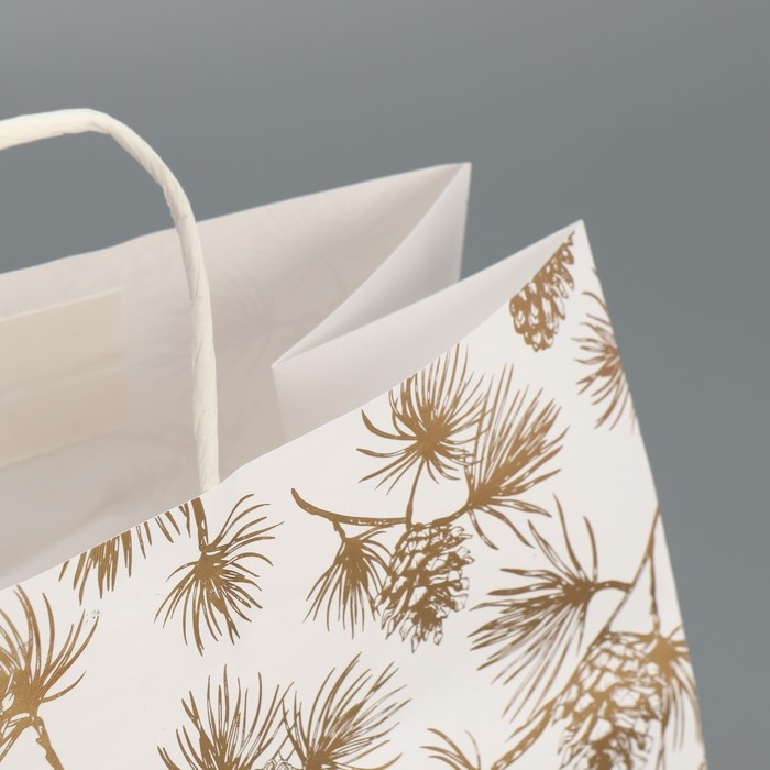 Пакет подарочный новогодний крафтовый Gold, 32 х 28 х 15 см, Новый год Пакет подарочный новогодний крафтовый Gold, 32 х 28 х 15 см, Новый год