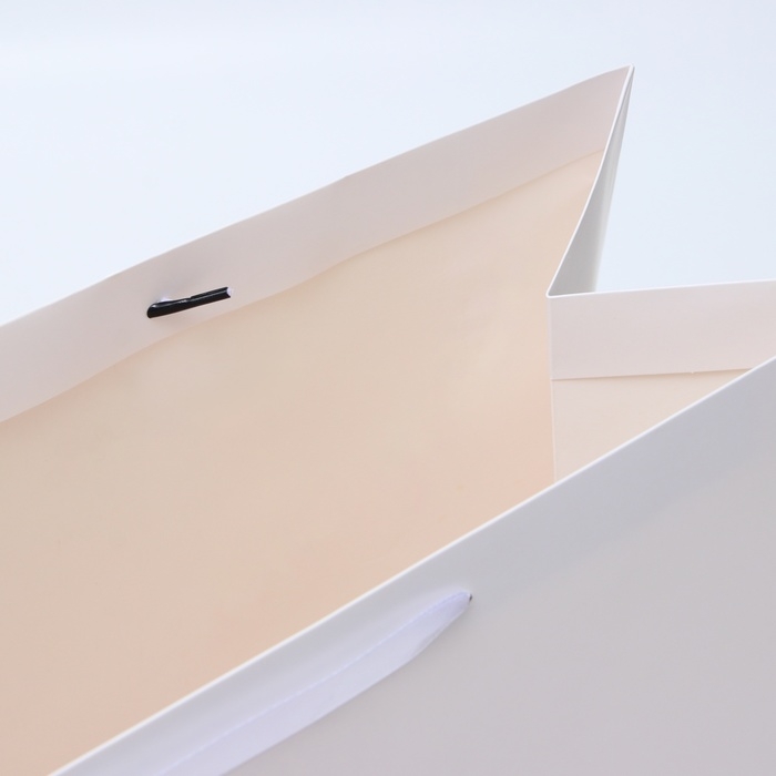 Пакет ламинированный горизонтальный Пакет ламинированный горизонтальный "Белый", XL 49 × 40 × 19 см