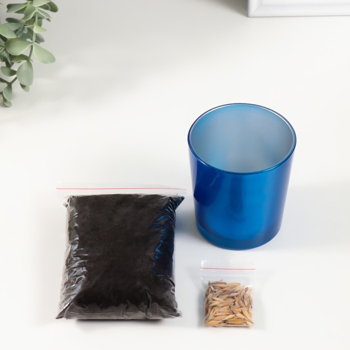 Набор для выращивания растений Набор для выращивания растений "Вырасти травку" синий