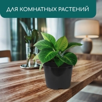 Горшок для рассады, 10 л, d = 29 см, h = 22,5 см, чёрный, Greengo