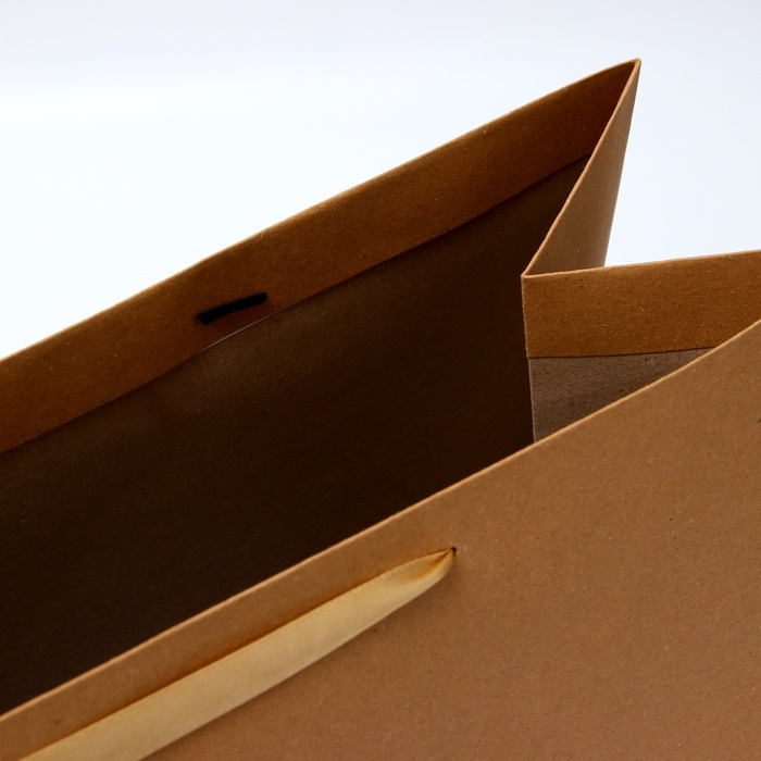 Пакет ламинированный горизонтальный "Крафт", XL 49 × 40 × 19 см