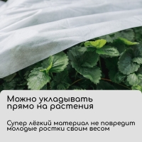 Материал укрывной, 10 × 1.6 м, плотность 30 г/м², спанбонд с УФ-стабилизатором, белый, Greengo, Эконом 30%