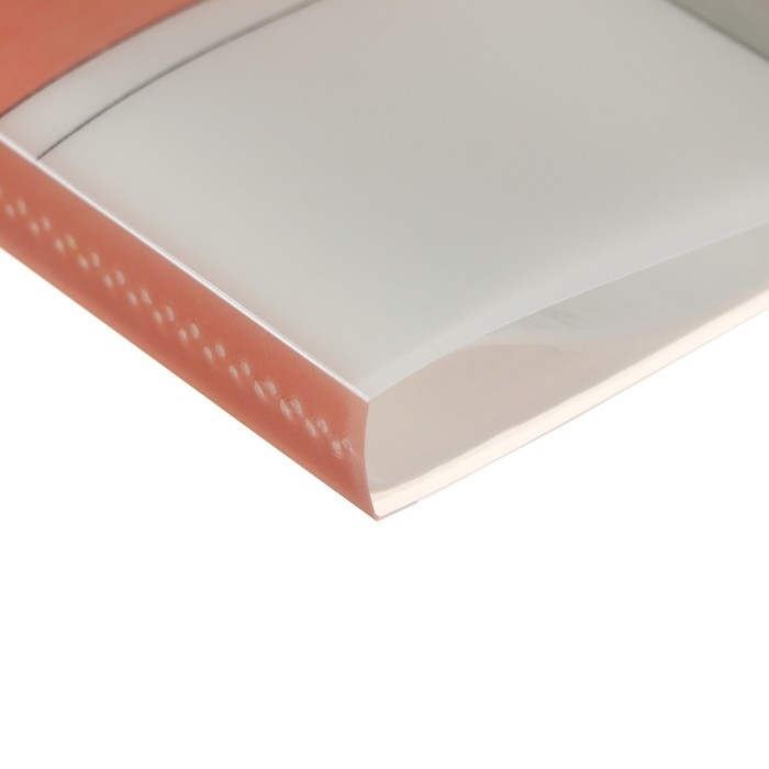 Папка формат А4, с 30 прозрачными файлами Папка формат А4, с 30 прозрачными файлами "Достопримечательность", МИКС