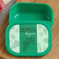 Ланч-бокс прямоугольный FoodVibes «Палитра вкуса», 150 мл