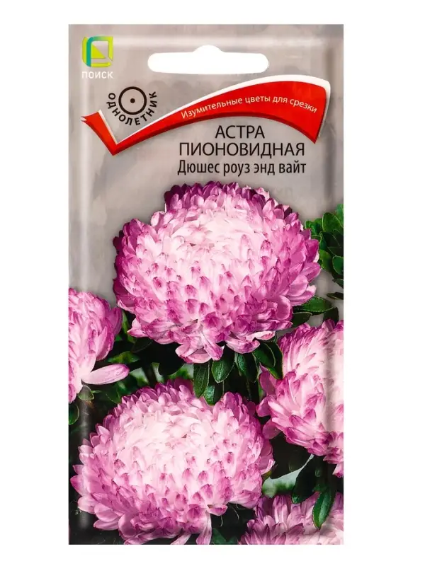 Набор семян цветов Астра