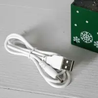 Светодиодная фигура &laquo;Подарок зелёный&raquo; 10&times;19&times;10 см, пластик, от батареек ААх3, USB, свечение тёплое белое