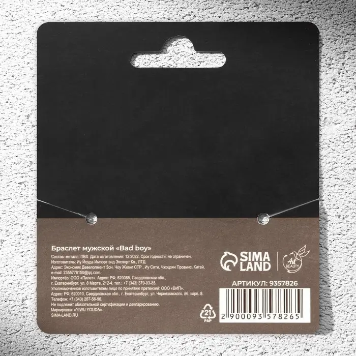Браслет мужской Bad boy, длина 24 см