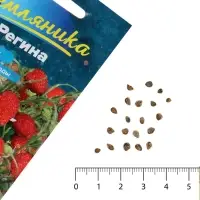 Семена Земляника &laquo;Регина&raquo;, ремонтантная, 0.03 г, &laquo;Семена Алтая&raquo;