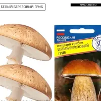 Мицелий грибов Белый гриб &laquo;Берёзовый&raquo;, 60 мл, &laquo;Престиж семена&raquo;