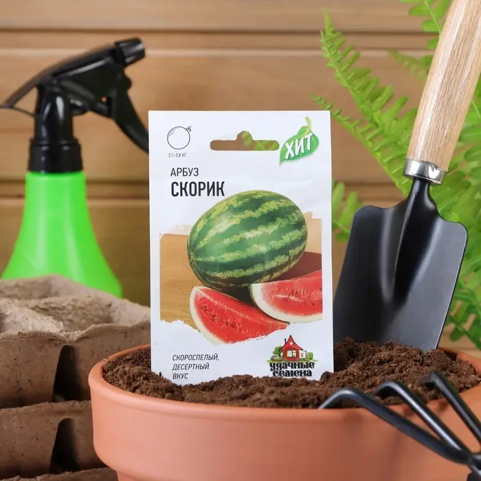Семена Арбуз "Скорик", ц/п,  1 г  серия ХИТ х3 Семена Арбуз "Скорик", ц/п,  1 г  серия ХИТ х3