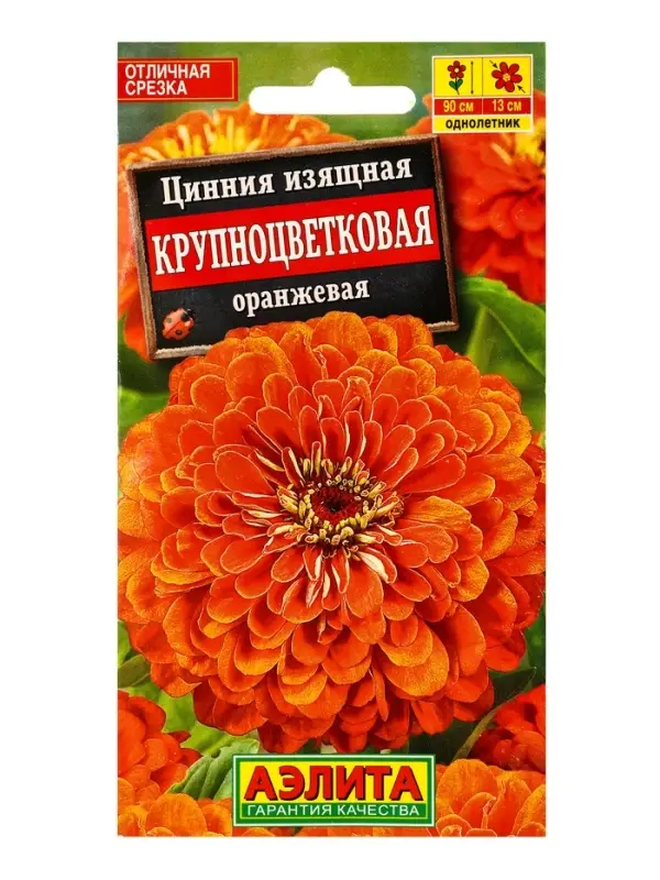 Семена цветов Цинния Крупноцветковая оранжевая , Ц/П,0,3 г Семена цветов Цинния Крупноцветковая оранжевая , Ц/П,0,3 г