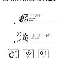 Семена цветов Иберис  "Cмесь", 0,1 г Семена цветов Иберис  "Cмесь", 0,1 г