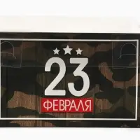 Коробка для капкейков, кондитерская упаковка, 4 ячейки &laquo;23 Февраля&raquo;, 16&times;16&times;10 см