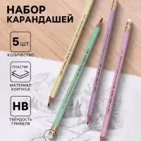 Карандаши чернографитные BIC HB Evolution &laquo;Пастель&raquo;, набор 5 штук, пластиковые, с ластиками
