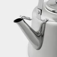 Чайник &laquo;Чайковский&raquo;, 3 л, нержавеющая сталь, хромированный