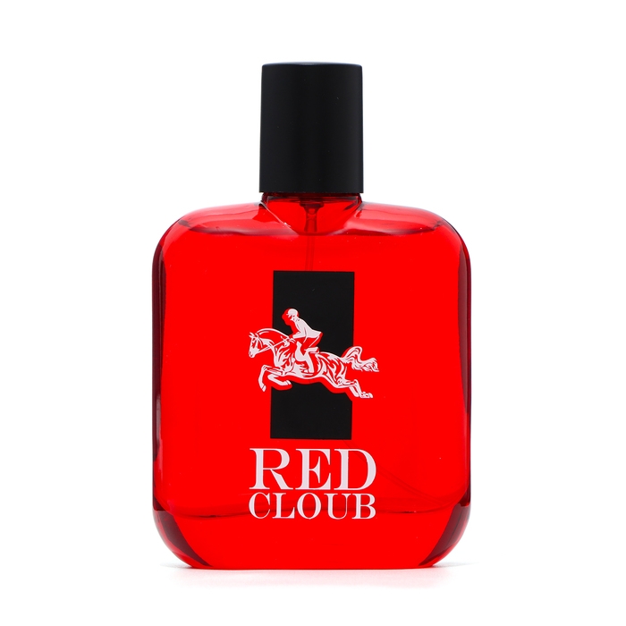 Туалетная вода мужская Cloub, 100 мл Туалетная вода мужская Cloub, 100 мл