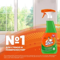 Средство для стекол и зеркал МИСТЕР МУСКУЛ с нашат.спиртом курок,530 мл