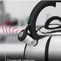 Чайник Kettle ss induction N4180317, для всех видов плит