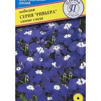 Семена цветов Лобелия кустовая &laquo;Ривьера. Синие глаза&raquo;, мультидраже, 5 шт., однолетник, &laquo;Престиж семена&raquo;