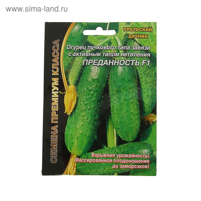 Семена Огурец Семена Огурец "Преданность" F1 пучкового типа завязи, партенокарпический, 7 шт