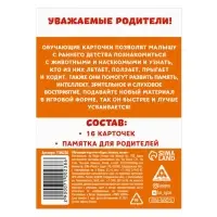 Обучающие карточки «Ходит, плавает, летает», 16 карт, 3+