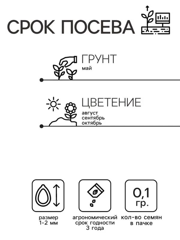 Семена цветов Пампасная трава &laquo;Белый шлейф&raquo;, &laquo;Перстиж семена&raquo;, 0.1 г