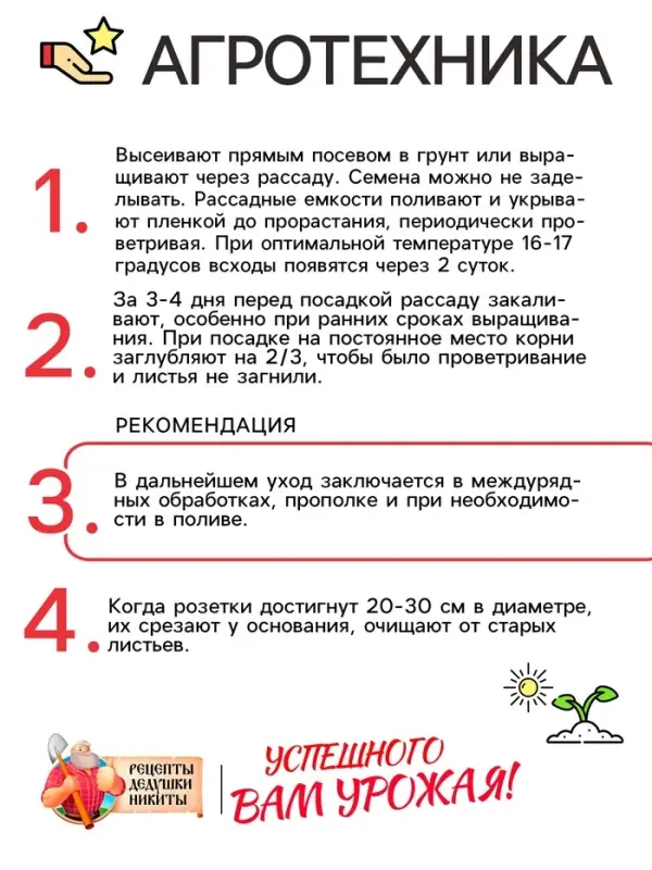 Семена Салат листовой  Семена Салат листовой "Московский парниковый", 0,5 г