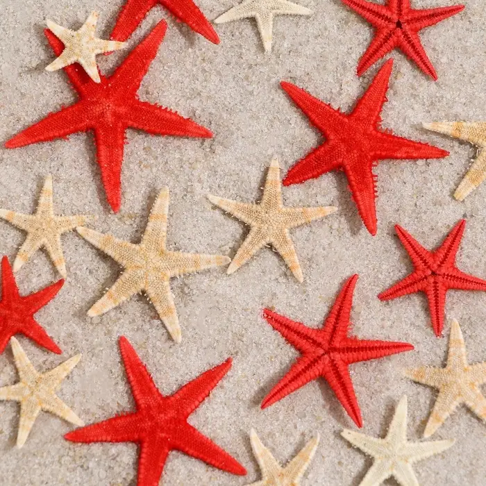 Набор натуральных морских звезд, 1.5 - 2.5 см, 20 шт., красные - белые