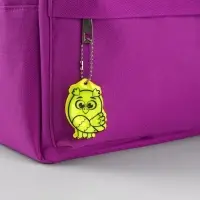 Светоотражающий элемент &laquo;Сова&raquo;, двусторонний, 4,2 &times; 6 см, цвет МИКС