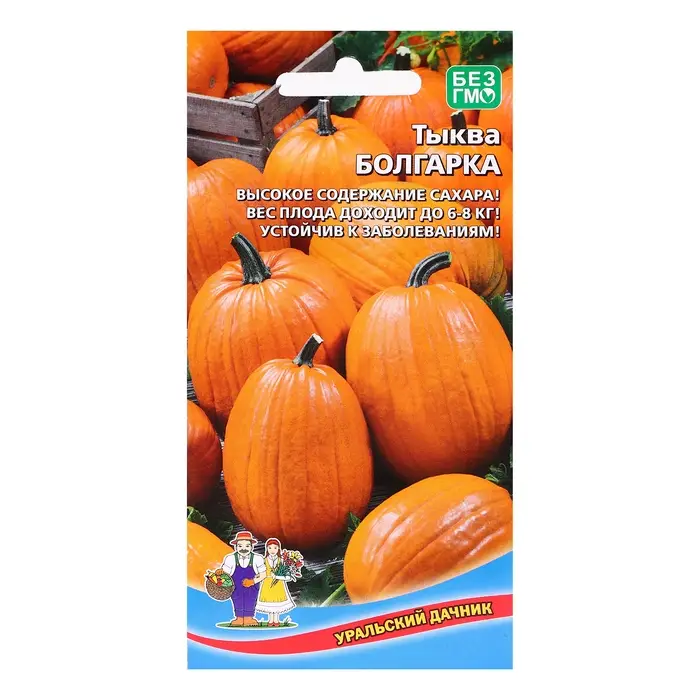 Семена Тыква Семена Тыква "Болгарка", 6 шт