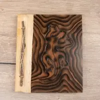 Фотоальбом "Ящерица" 10 листов, 23х27х2 см, цв. коричневый