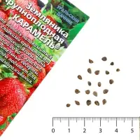 Семена Земляника &laquo;Карамель&raquo;, 10 шт., крупноплодная, &laquo;Уральский дачник&raquo;