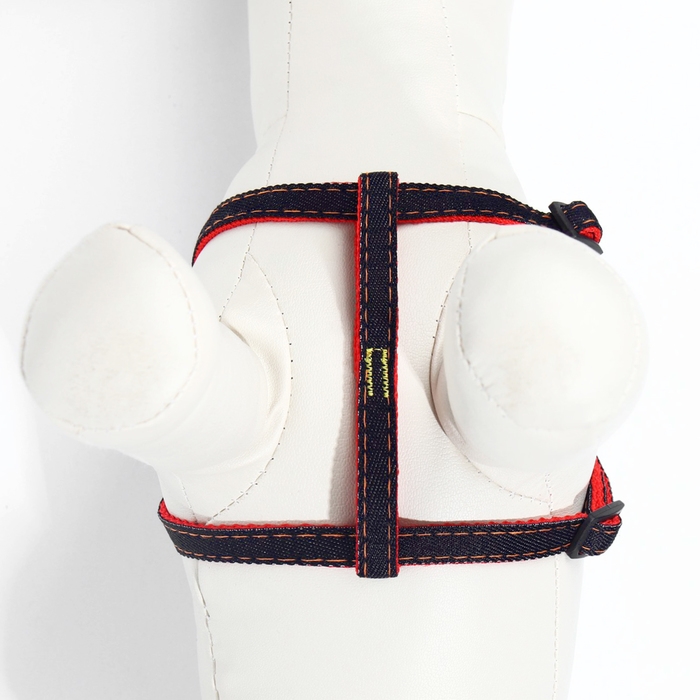 Комплект Комплект "Джинс", ширина 1 см, поводок 120 см, шлейка 25-40 см, красный