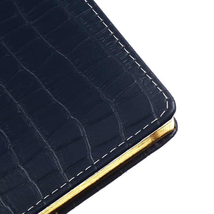 Ежедневник датированный 2025 года, deVENTE. Flag, B5 168 листов, deVENTE.Barbara, твердая обложка кожзам с поролоном, перфорация, ляссе, блок 70 г/м2, темно-синий Ежедневник датированный 2025 года, deVENTE. Flag, B5 168 листов, deVENTE.Barbara, твердая обложка кожзам с поролоном, перфорация, ляссе, блок 70 г/м2, темно-синий