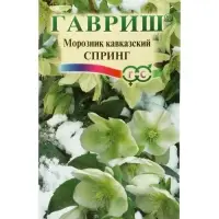 Семена цветов Морозник кавказский Спринг (лимонно-зеленый)* 0,1 г DHп