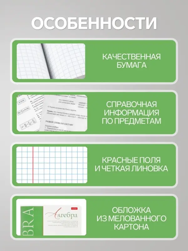 Предметная тетрадь по алгебре Hatber &laquo;Буквица&raquo;, 48 листов, в клетку, со справочным материалом, обложка из мелованного картона