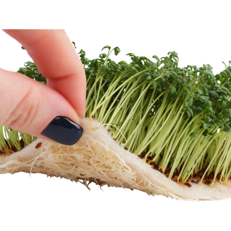 Агроткань Коврик для выращ. микрозелени, 16x10x0,5 см., 4 шт/уп, 189582