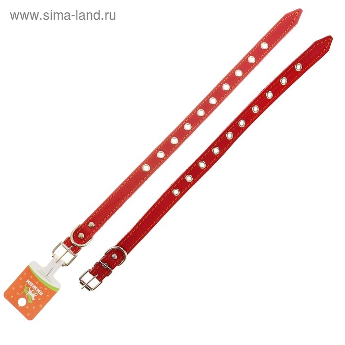 Ошейник кожаный однослойный безразмерный, 45 х 2 см, ОШ 18-39 см, красный Ошейник кожаный однослойный безразмерный, 45 х 2 см, ОШ 18-39 см, красный