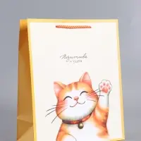 Пакет подарочный "Позитива и удачи" ламинированный 26 х 12 х 32 см