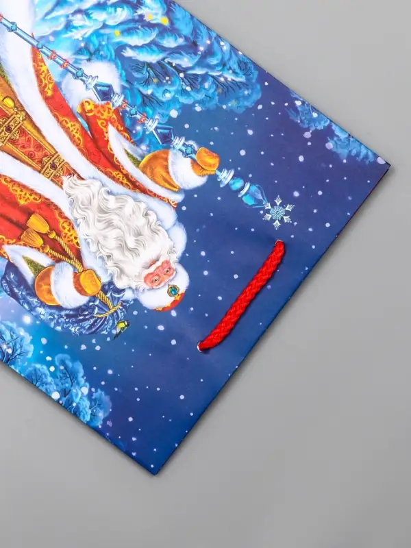 Пакет подарочный новогодний ламинированный, &laquo;Новогодний набор &raquo;, 18&times;10&times;22.3 см
